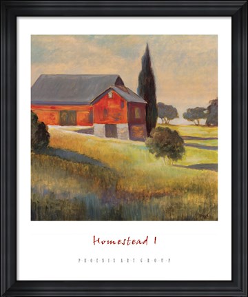 Framed Homestead I Print
