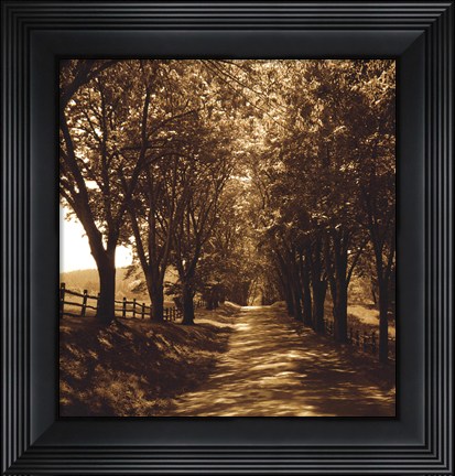 Framed Ash Lawn I Print