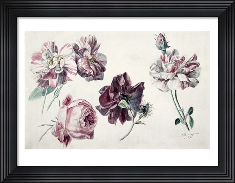 Framed Roses Print