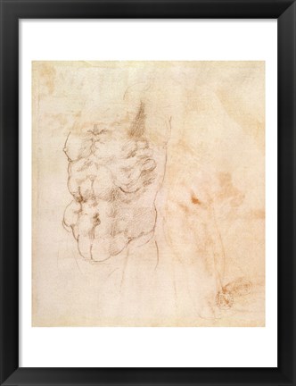 Framed Torso Study Print