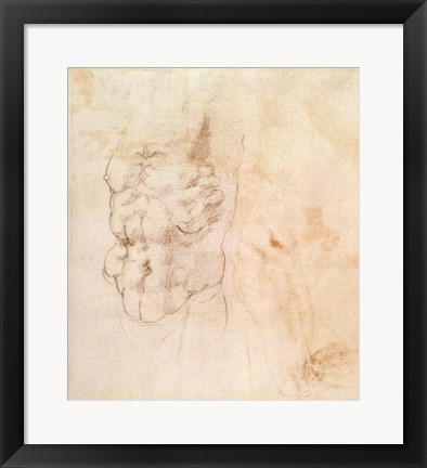 Framed Torso Study Print