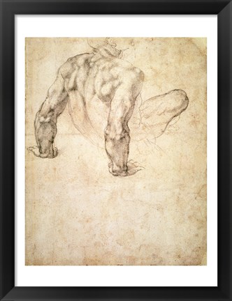 Framed W.63r Study of a male nude, leaning back on his hands Print