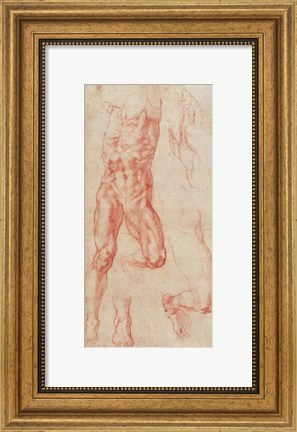Framed W.13r Study of a male nude, stretching upwards Print