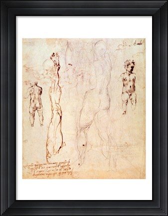 Framed Anatomical drawings with accompanying notes Print
