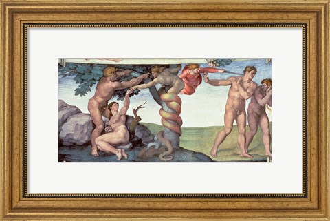 Framed Sistine Chapel Ceiling (1508-12): The Fall of Man, 1510 Print