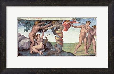 Framed Sistine Chapel Ceiling (1508-12): The Fall of Man, 1510 Print