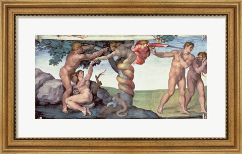 Framed Sistine Chapel Ceiling (1508-12): The Fall of Man, 1510 Print