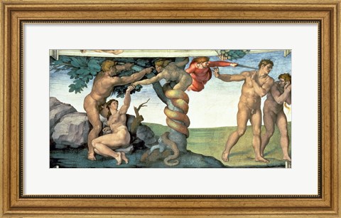 Framed Sistine Chapel Ceiling (1508-12): The Fall of Man, 1510 Print