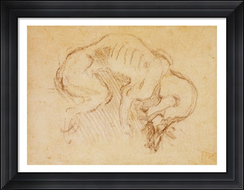 Framed Study of a dog Print