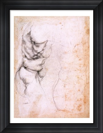 Framed Study of torso and buttock Print