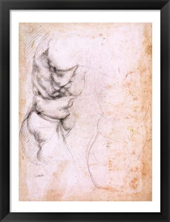 Framed Study of torso and buttock Print