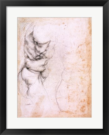 Framed Study of torso and buttock Print