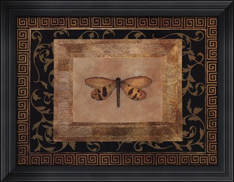 Framed Dragon Fly II Print