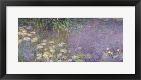 Framed Waterlilies: Morning, 1914-18 (left section) Print