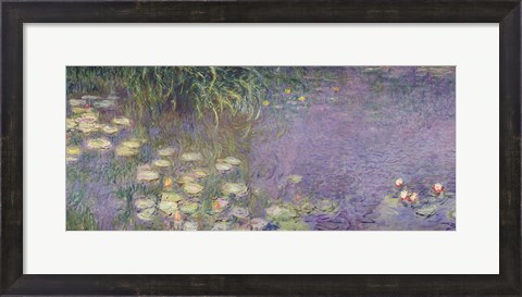 Framed Waterlilies: Morning, 1914-18 (left section) Print