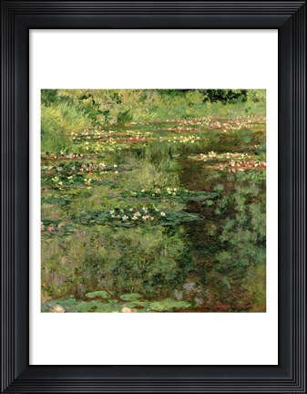 Framed Waterlily Pond, 1904 Print
