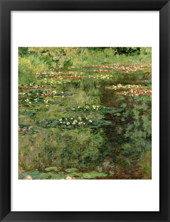 Framed Waterlily Pond, 1904 Print