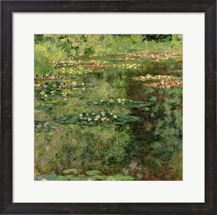 Framed Waterlily Pond, 1904 Print