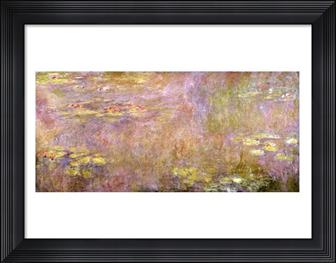 Framed Waterlilies, after 1916 Print