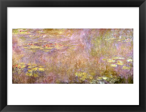 Framed Waterlilies, after 1916 Print