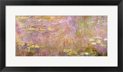 Framed Waterlilies, after 1916 Print