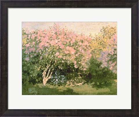 Framed Lilac in the Sun, 1873 Print