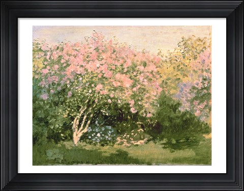 Framed Lilac in the Sun, 1873 Print