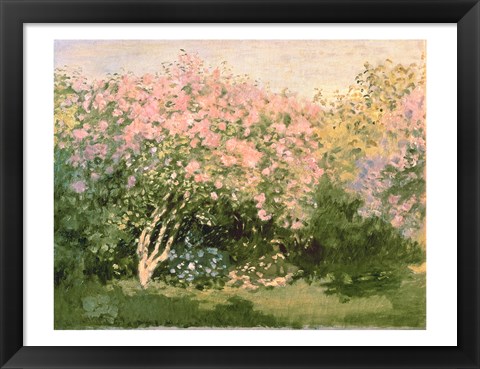 Framed Lilac in the Sun, 1873 Print