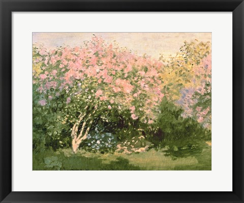 Framed Lilac in the Sun, 1873 Print