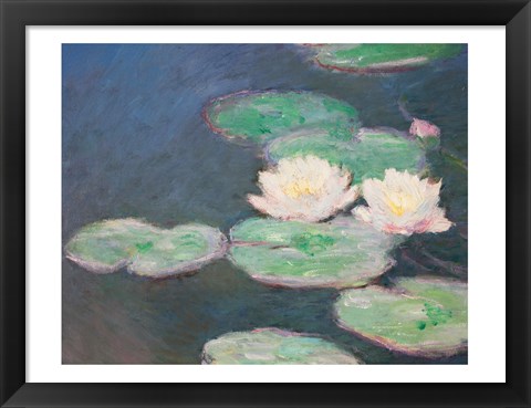 Framed Waterlilies, Evening; detail Print