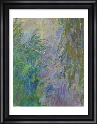 Framed Waterlilies (green &amp; purple) Print