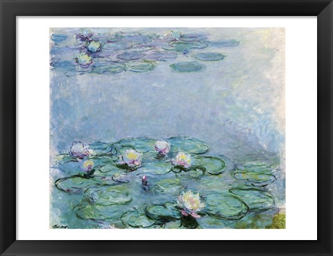 Framed Water Lilies Print