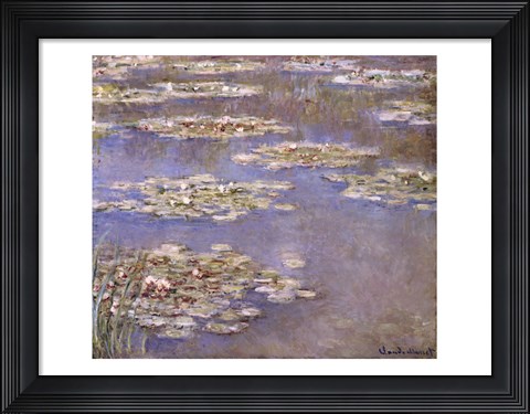 Framed Nympheas, c.1905 Print