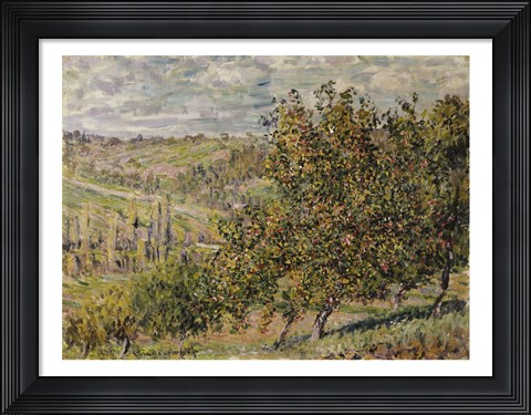 Framed Apple Blossom Print