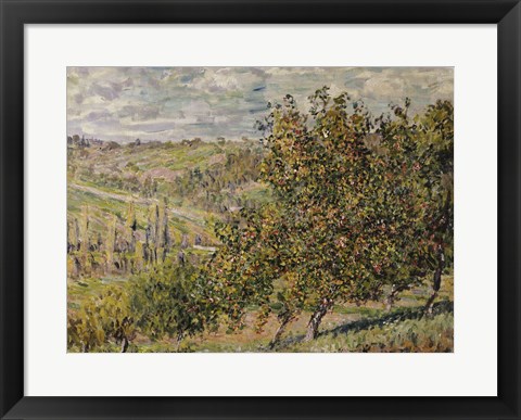 Framed Apple Blossom Print