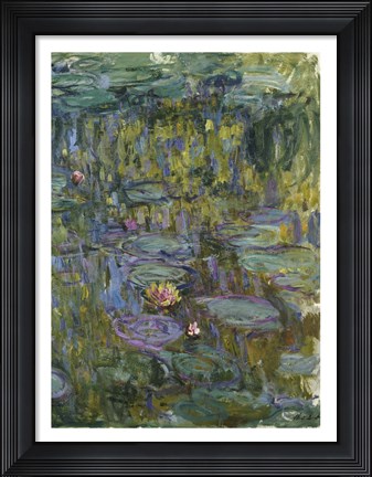 Framed Waterlilies (dark green) Print