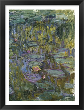 Framed Waterlilies (dark green) Print