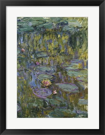 Framed Waterlilies (dark green) Print