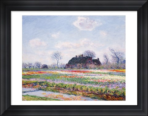 Framed Tulip Fields at Sassenheim, near Leiden, 1886 Print