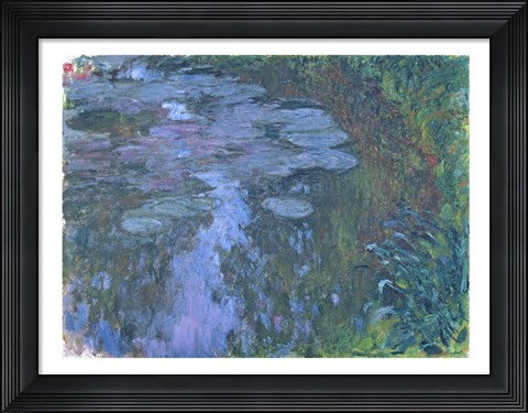 Framed Nympheas C Print