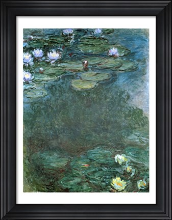 Framed Water-Lilies Print