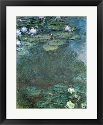 Framed Water-Lilies Print