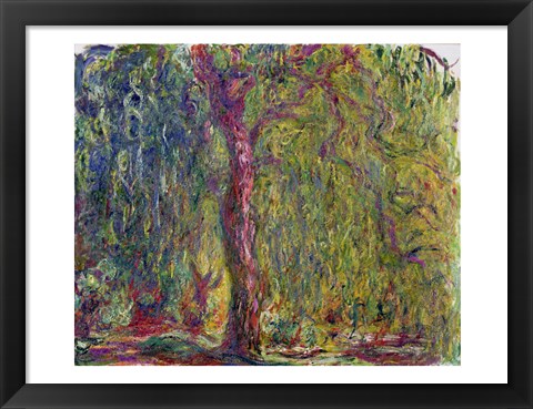 Framed Weeping Willow, 1918-19 Print
