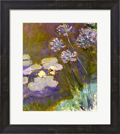 Framed Waterlilies and Agapanthus, 1914-17 Print