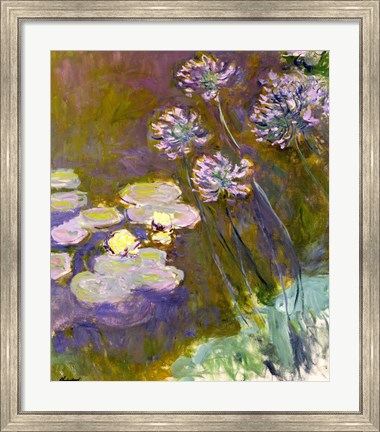 Framed Waterlilies and Agapanthus, 1914-17 Print