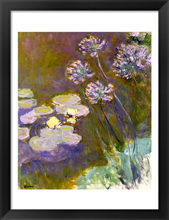 Framed Waterlilies and Agapanthus, 1914-17 Print