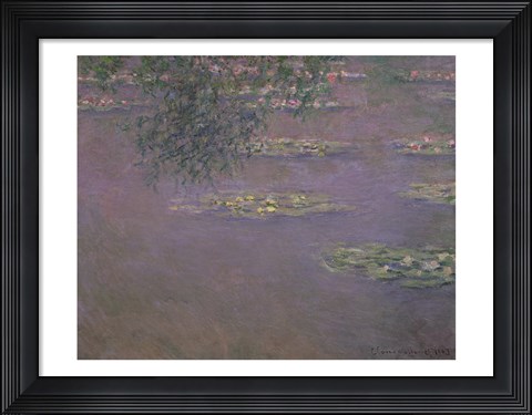 Framed Waterlilies, 1903 Print