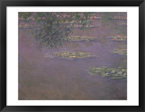 Framed Waterlilies, 1903 Print