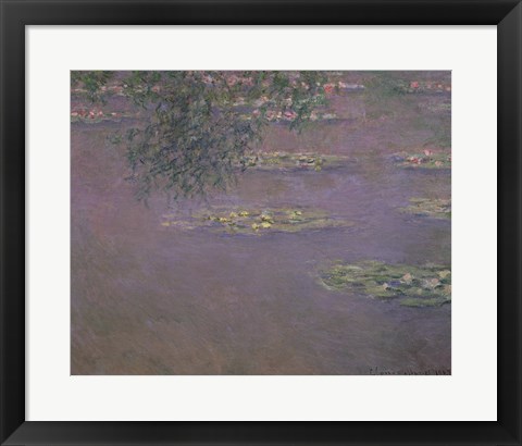 Framed Waterlilies, 1903 Print