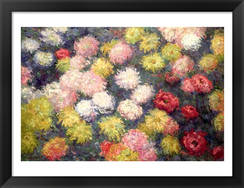 Framed Chrysanthemums, 1897 Print